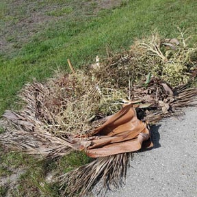 Cleanups by ROYCE ART GROUP INC reviewed on July 22, 2025