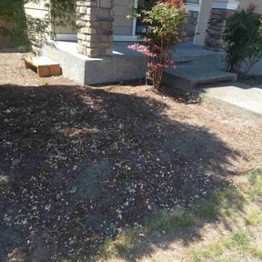 Bush Trimming by Texas Fencing & Landscaping reviewed on August 12, 2020