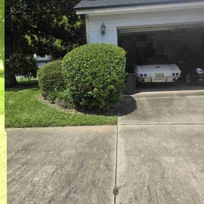 Bush Trimming by Felo Pride lawn services reviewed on July 22, 2022