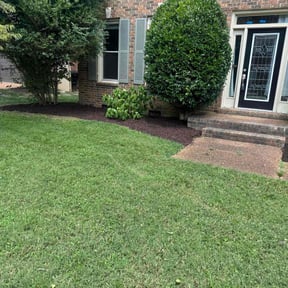 Weeding by TJ Lawn Care reviewed on August 7, 2025