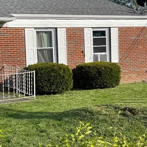 Bush Trimming by Supreme Home Services reviewed on December 13, 2024