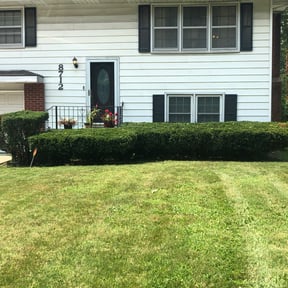 Bush Trimming by JD Inc. reviewed on December 15, 2024