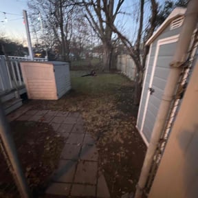 Leaf Removal by Lawn Star Rangers reviewed on May 14, 2022