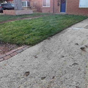 Leaf Removal by LSLTDallas/FortWorthTruGreen reviewed on August 14, 2024