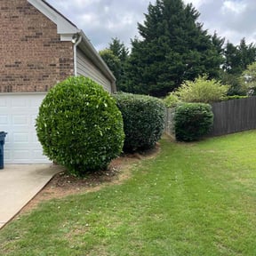Bush Trimming by M K's Ultra Property Maintenance reviewed on October 7, 2022
