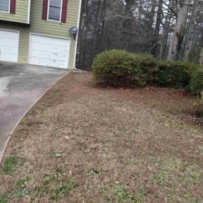 Leaf Removal by White's premium landscaping services reviewed on September 23, 2024