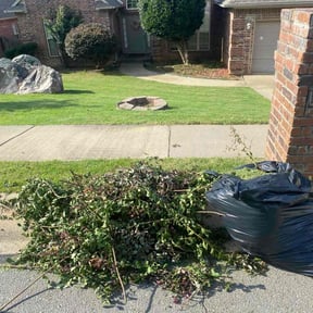 Bush Trimming by Ross and tree landscaping reviewed on December 29, 2024