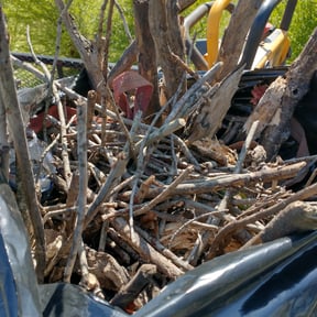 Cleanups by Js Lawn Care reviewed on August 22, 2024