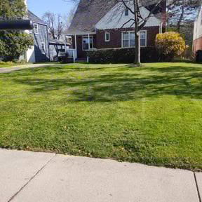 Bush Trimming by G3 Concrete LLC. (Concrete, Lawn & Snow Clearing Services) reviewed on August 4, 2020