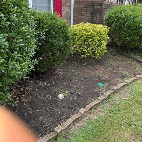 Flower Bed Weeding by Snell mowing reviewed on November 24, 2023