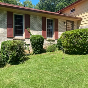 Bush Trimming by Superior Landscape Surgeon reviewed on October 5, 2024