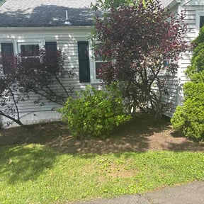 Cleanups by Morel Lawn &amp; tree service reviewed on June 25, 2022