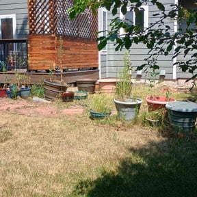 Weeding by Backbreakers LLC reviewed on May 8, 2025