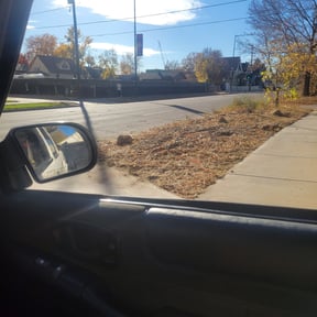 Flower Bed Weeding by GREEN KEEE LLC reviewed on May 11, 2025