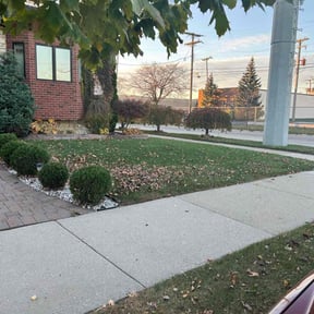 Leaf Removal by Legacy Lawn Services reviewed on May 17, 2022