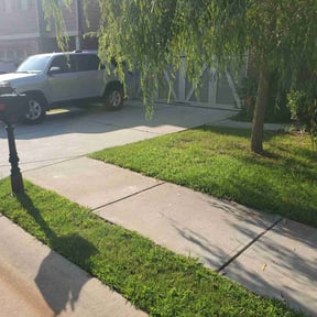 Weeding by Stephen Reynolds reviewed on July 20, 2022