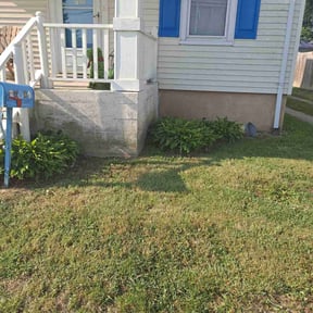 Flower Bed Weeding by MJ Lawn reviewed on October 7, 2024