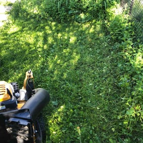 Cleanups by TruGreen LawnCare reviewed on August 15, 2025