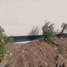 Bush Trimming by Steve’s mowing company reviewed on August 26, 2024