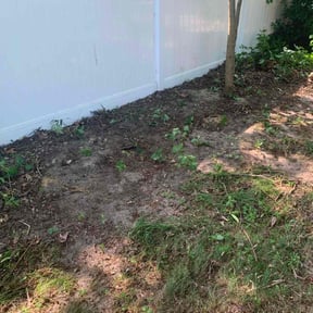 Cleanups by BLC3 LLC / Turf Guys reviewed on July 8, 2022