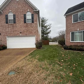 Leaf Removal by YARD M.D. LLC reviewed on January 1, 2025