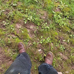 Bush Trimming by Leapai Unlimited, Inc. reviewed on July 19, 2020