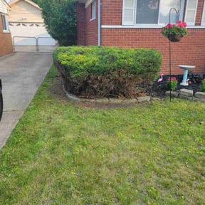 Bush Trimming by Heavy Hand Landscaping reviewed on May 15, 2025