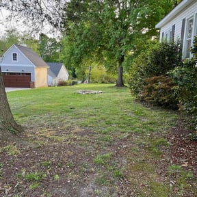 Leaf Removal by Rhodes Services reviewed on November 9, 2024