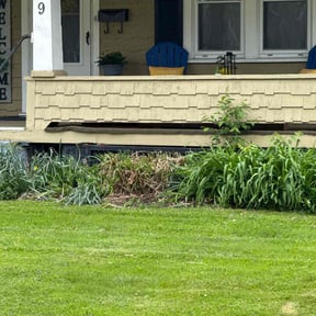 Bush Trimming by Lisa James Contracting LLC reviewed on October 23, 2024