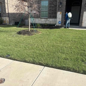 Flower Bed Weeding by Cascadia Landscaping reviewed on July 19, 2022