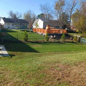 Leaf Removal by D.P.S (Dave Property Services) reviewed on December 14, 2024