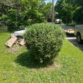 Bush Trimming by Gtpi lawn Care reviewed on June 5, 2022