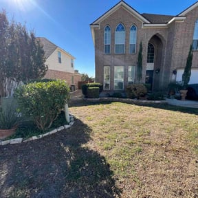 Bush Trimming by SAN ANTONIO LAWNS LLC reviewed on September 11, 2020