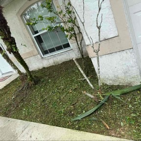 Flower Bed Weeding by Achieving the dream llc reviewed on August 8, 2025