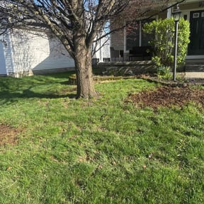 Leaf Removal by Ike’s Lawn &amp; Yard Services reviewed on July 12, 2025