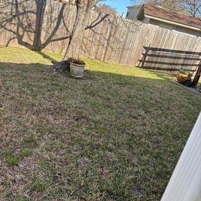 Leaf Removal by Randy's lawncare reviewed on July 3, 2022