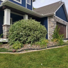 Bush Trimming by Shorty's Lawn Services reviewed on April 27, 2022