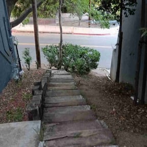 Bush Trimming by Super Design Landscaping reviewed on April 12, 2022
