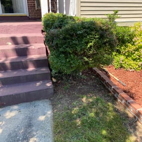 Bush Trimming by Reliablemowing LLC reviewed on July 24, 2022