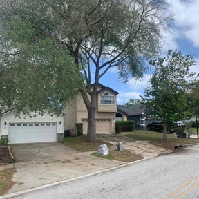 Bush Trimming by Tree Top Lawn Services reviewed on August 1, 2025