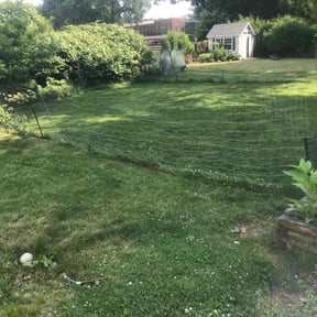 Cleanups by Rucker’s Lawn Care reviewed on July 6, 2022