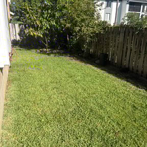 Leaf Removal by Affordable Landscaping reviewed on January 11, 2025