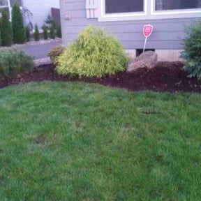 Flower Bed Weeding by Midwest Ecoscapes reviewed on June 5, 2022