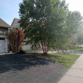 Bush Trimming by B and b lawn and professional services llc reviewed on May 19, 2022