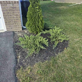 Weeding by Cre8tive Art's Work LLC Lawn Care & Property Preservation reviewed on July 22, 2022