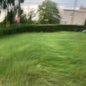Bush Trimming by Alex lawn care reviewed on September 19, 2021