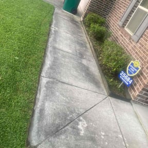 Bush Trimming by Coleman's lawn care reviewed on August 23, 2021