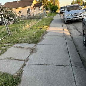 Leaf Removal by Los Koras Lawn Care reviewed on June 26, 2025