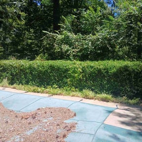 Bush Trimming by A&J Clean Cut Lawn Care LLC reviewed on November 9, 2022