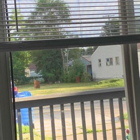Bush Trimming by Dirt-Brothers Lawn Care reviewed on June 22, 2022